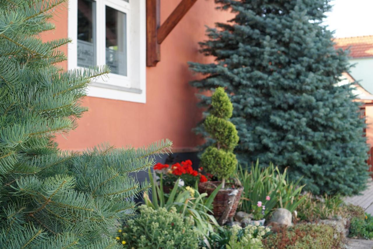 Ferienwohnung Midgard Im Sagenharz - Family-Apartment, 2 Sz & Wlan Thale Exterior photo
